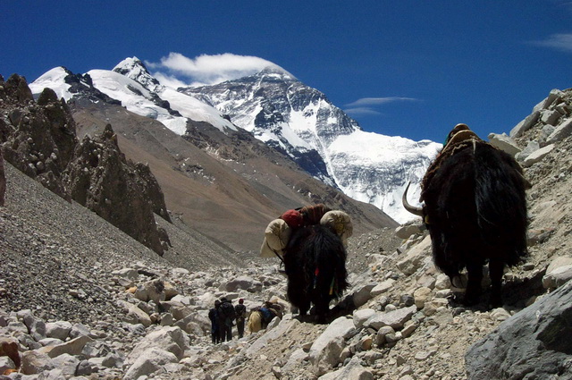 留存在珠峰海拔5120米大本营至6500米区域内的垃圾，统一装袋由牦牛驮下山。摄影/章轲