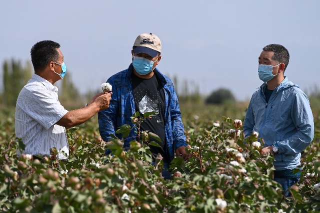 据美国农业部（USDA）2021年9月份全球棉花产销预测