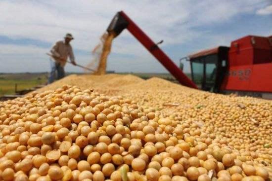 中美贸易战撼动美国农业生态 美农不想种大豆了？