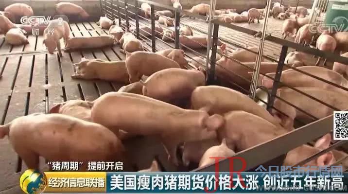 今年的猪肉供应缺口可能会到达510万吨摆布