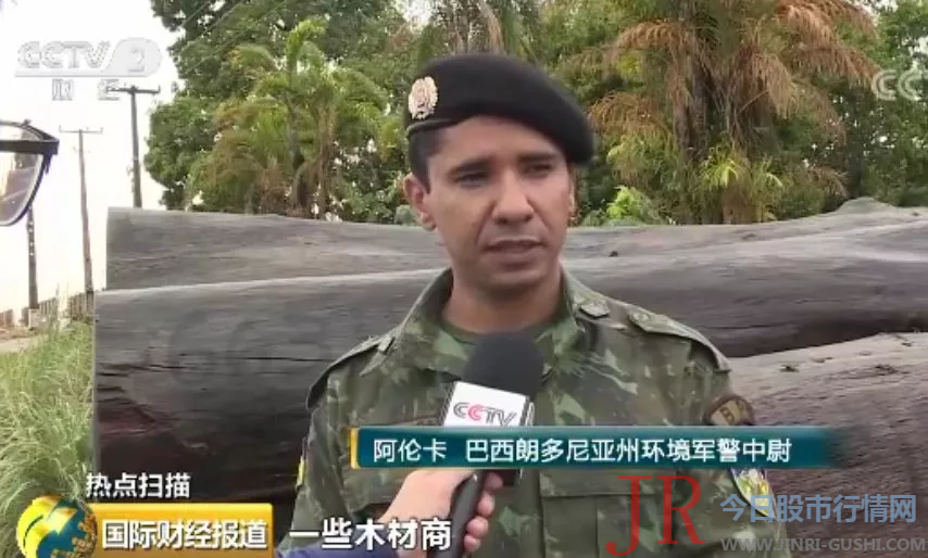  记者 宋焕钰：我如今是在一片被烧毁的雨林里面