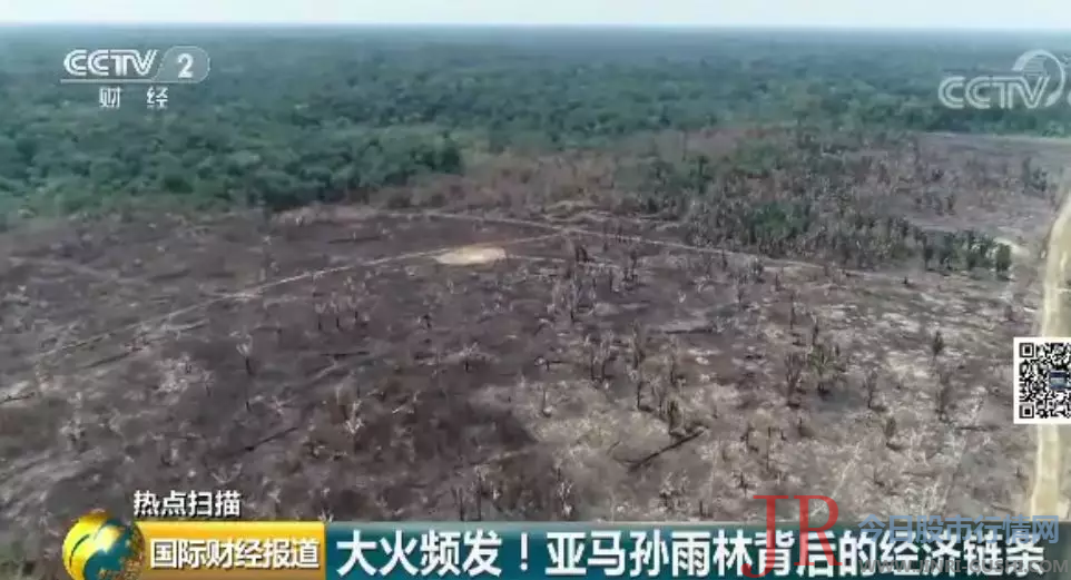  记者 宋焕钰：我如今是在一片被烧毁的雨林里面