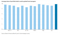 全球基金经理平均持有5％的现金