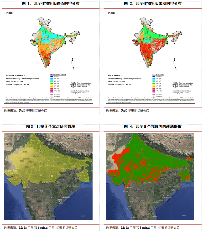 华泰期货邓绍瑞：印度百年高温，产量影响几何