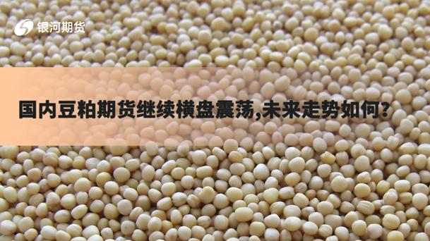 国内豆粕期货继续横盘震荡,将来走势如何？