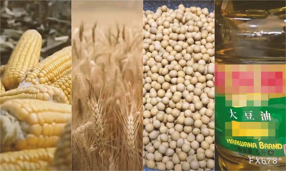 乌克兰对亚洲大量玉米出口仍在继续